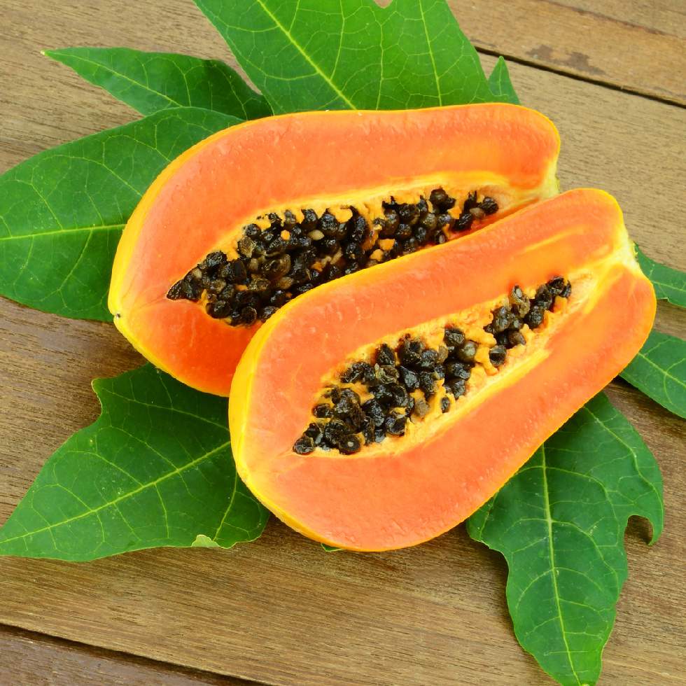 PAPAYA