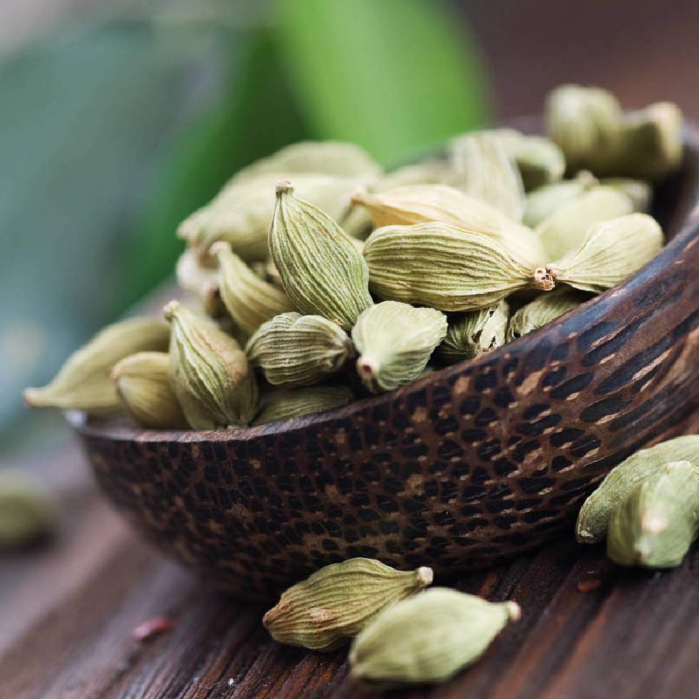 CARDAMOMO