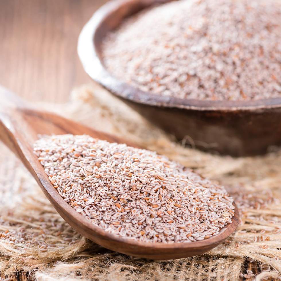 PSYLLIUM