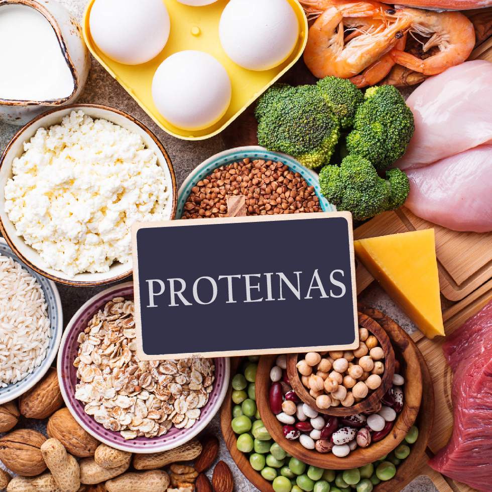 PROTEÍNAS