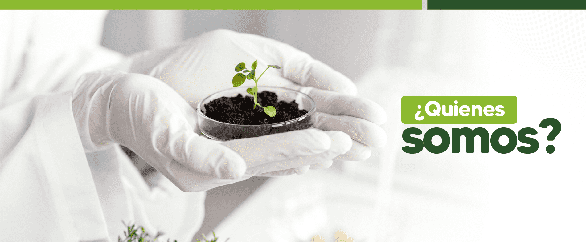 Quiénes somos